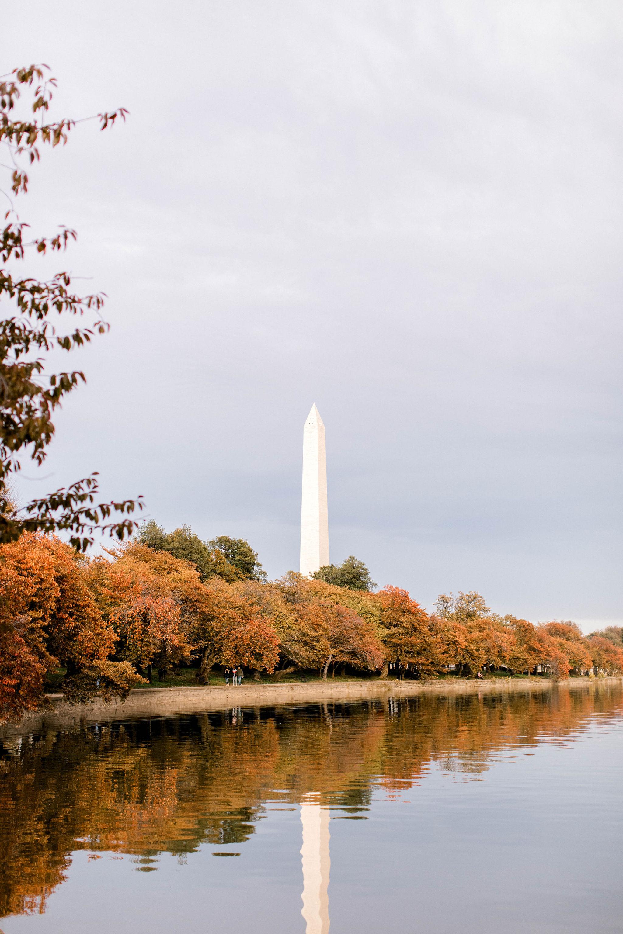 The Wedding Website of Anne Lumpkin and Scott Silverstein