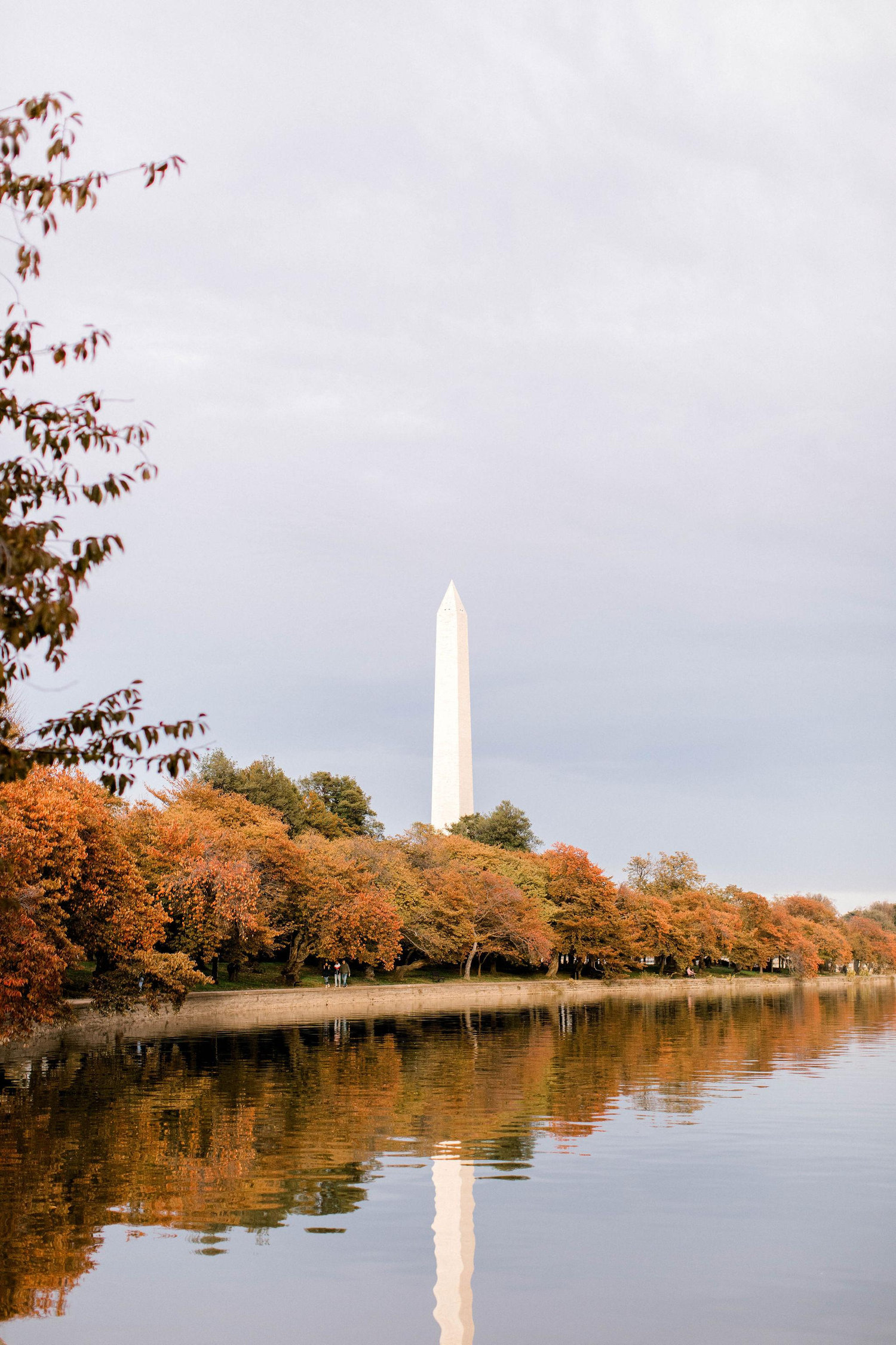 The Wedding Website of Anne Lumpkin and Scott Silverstein