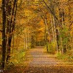 Wild River State Park