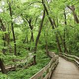 Fontenelle Forest
