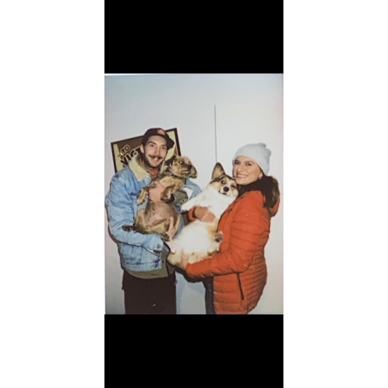 We love our dogs!