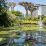 Activity: Gardens by the Bay