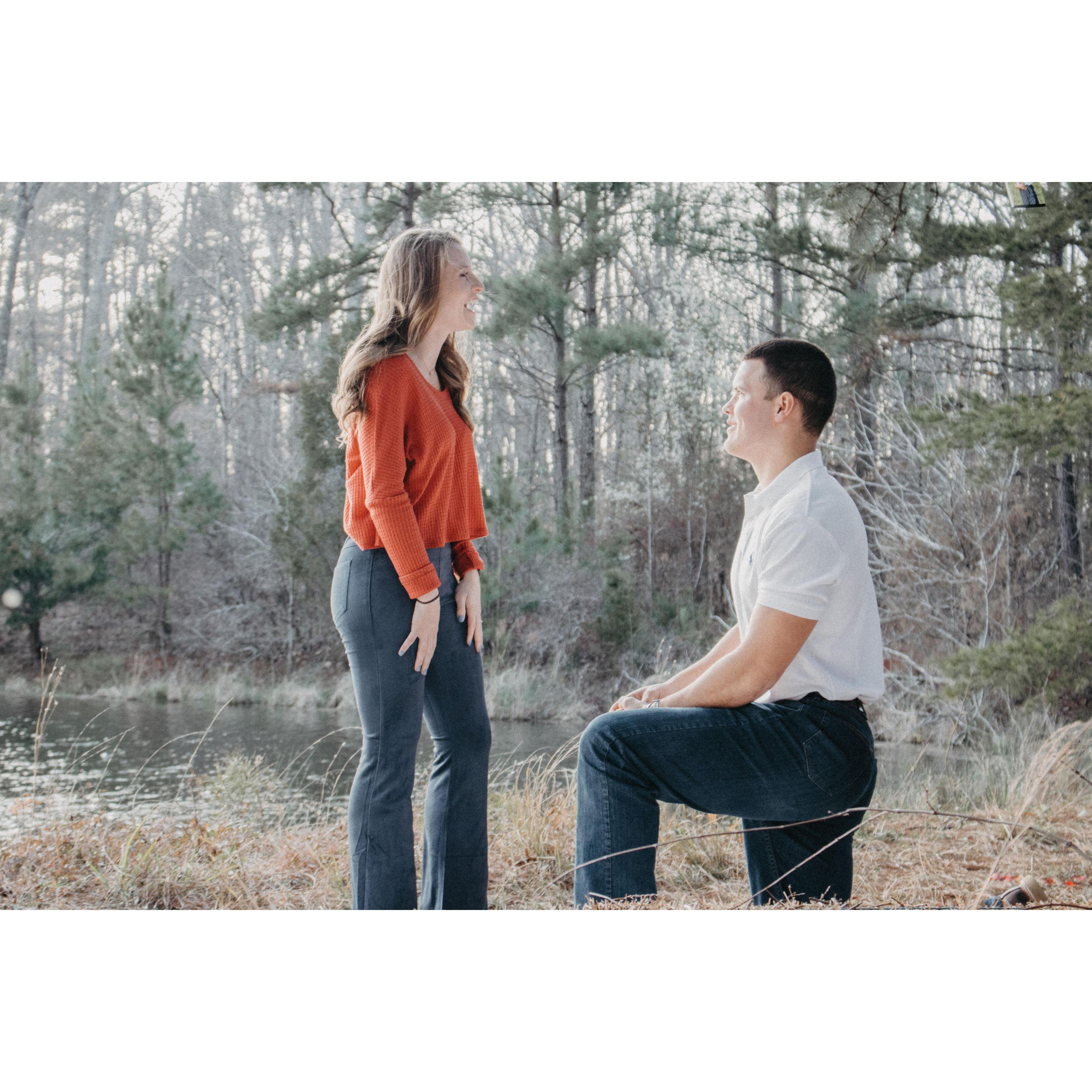 Butterflies and Laughs