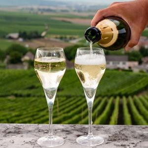 Wine Tasting in French Countryside