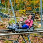 Wilderness Run Alpine Coaster