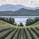 Shelburne Vineyard