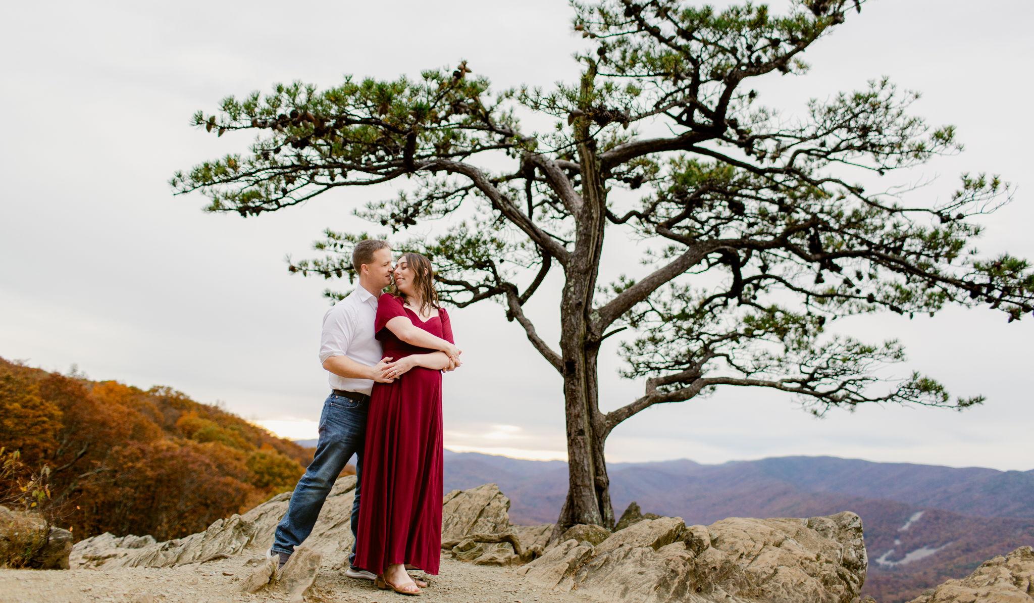 Hero Slideshow Image 2