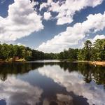 Bastrop State Park