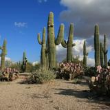 San Tan Mountain Regional Park
