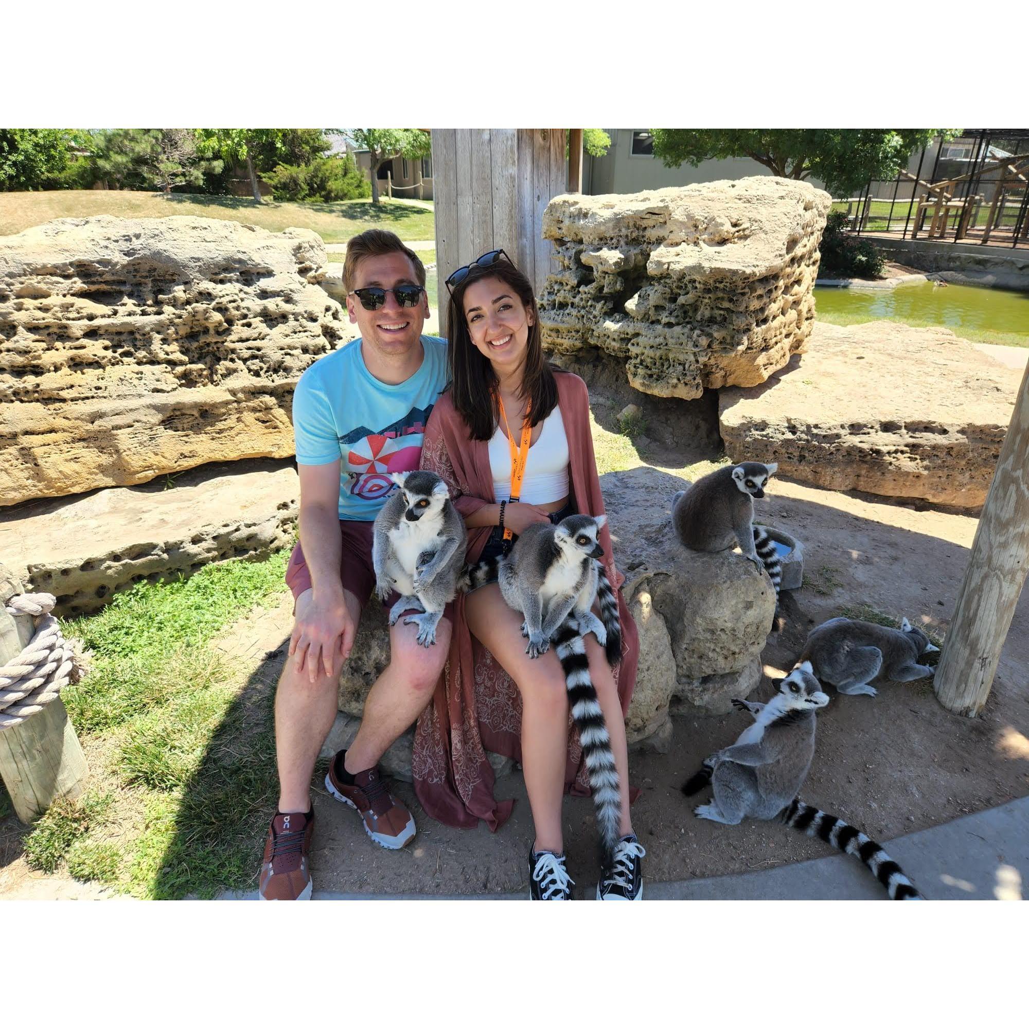 Hanging out with the lemurs at Tanganyika Wildlife Park in Kansas