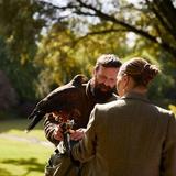 Belle Isle Falconry
