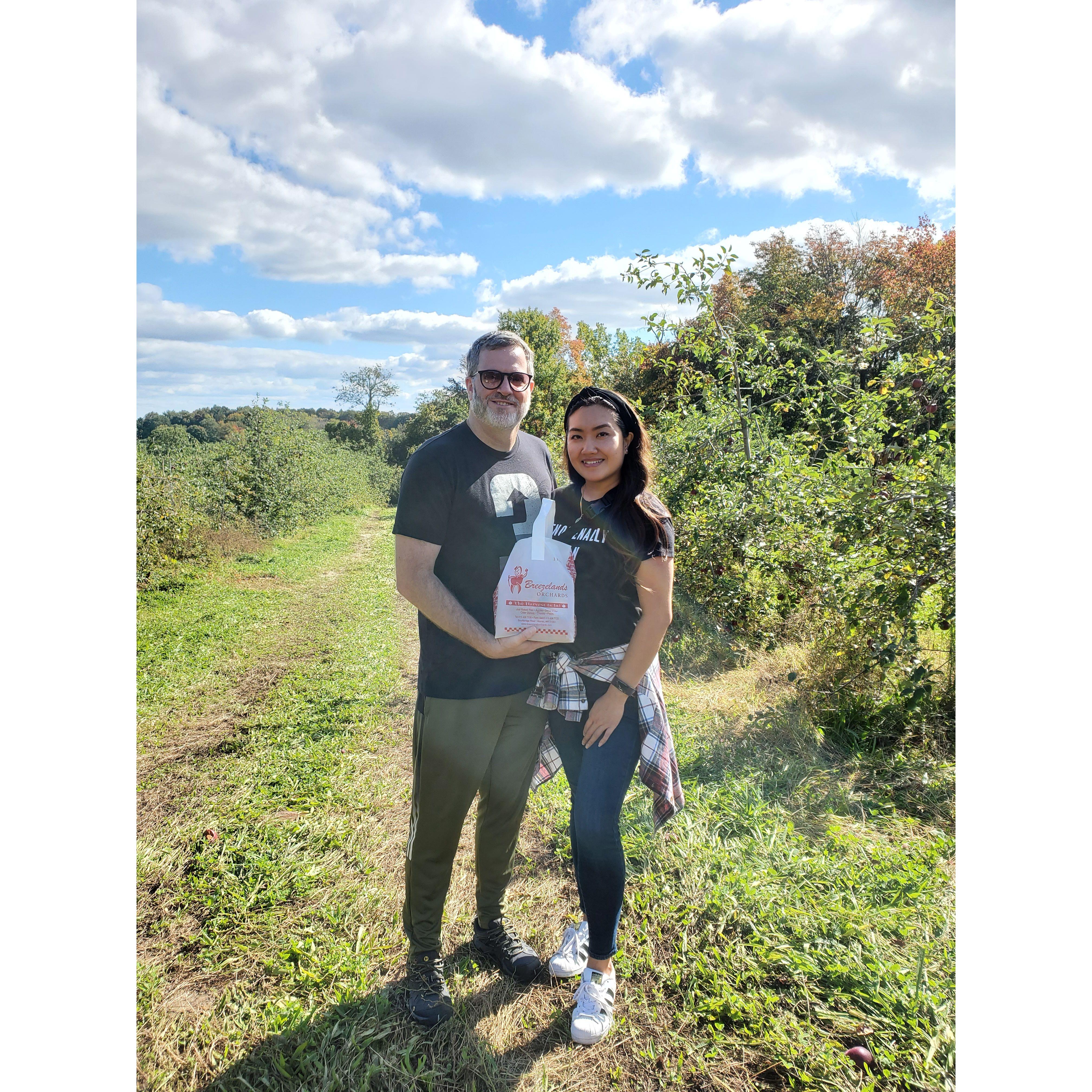 Apple picking at Breezy Orchards