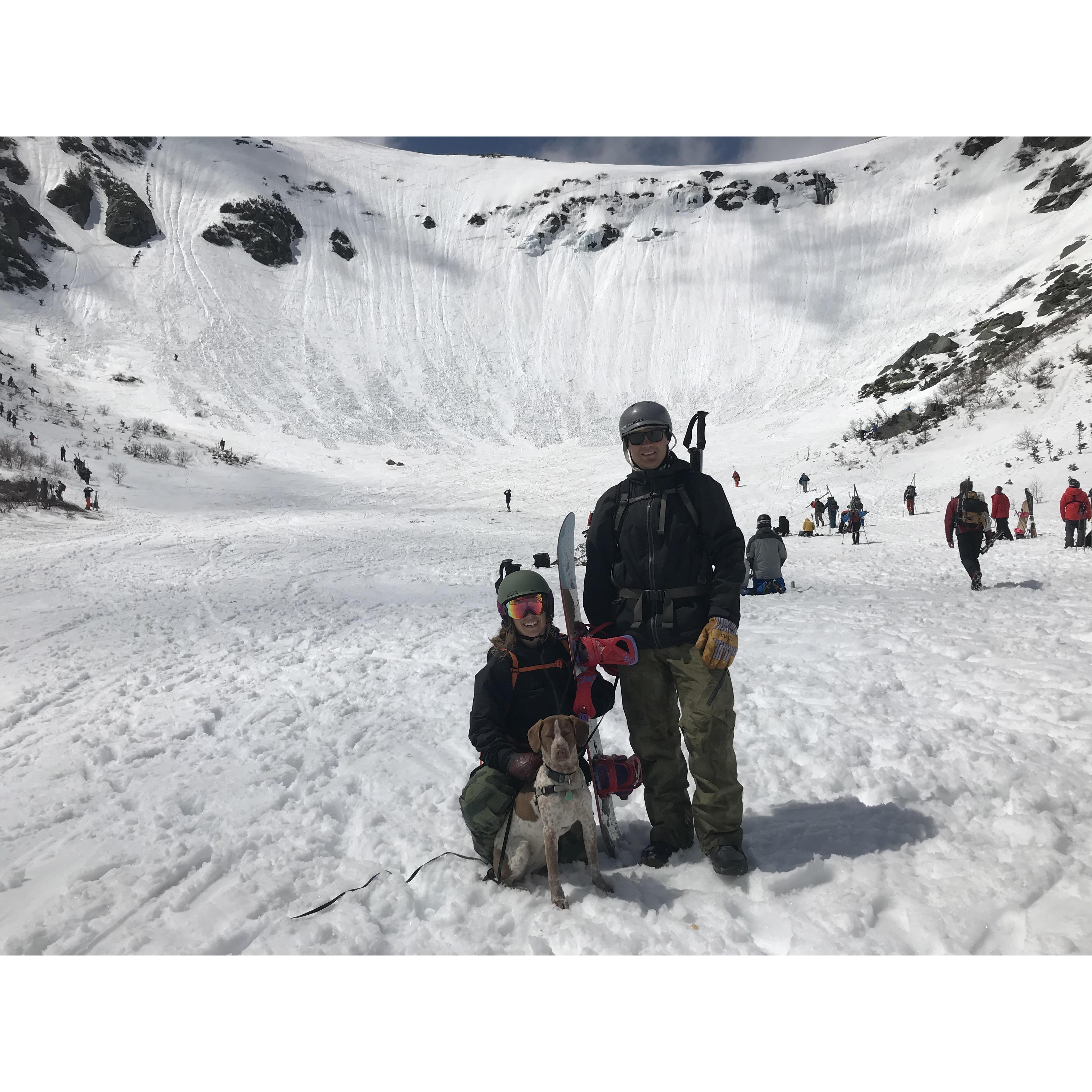 Puppies first turns!