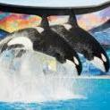 SeaWorld San Diego