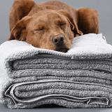 Organic Cotton Bath Sheet