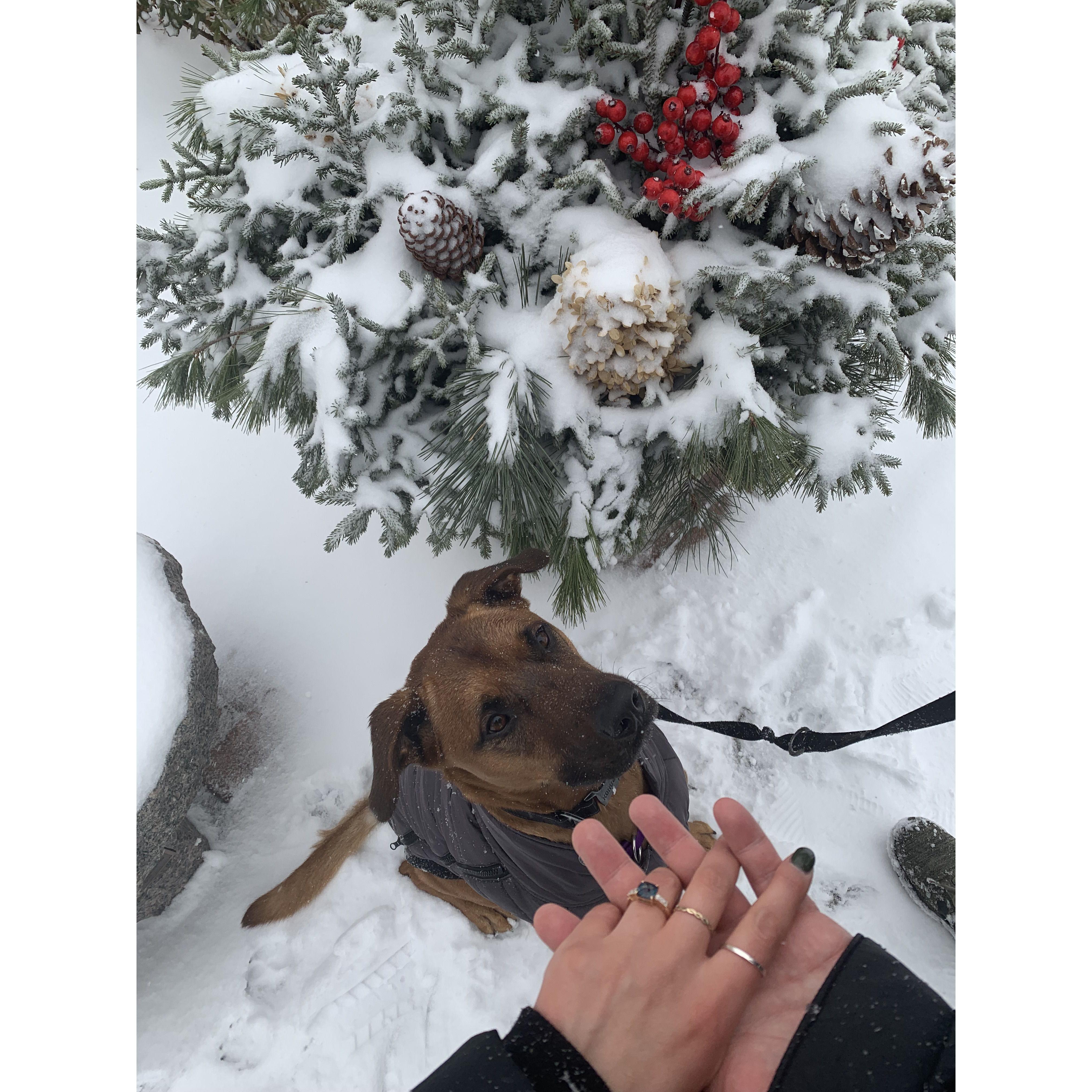 Family outing in St. Paul, MN after David proposed - November 2022