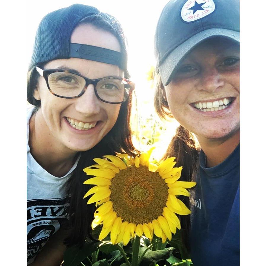 Yellow Springs Sunflowers