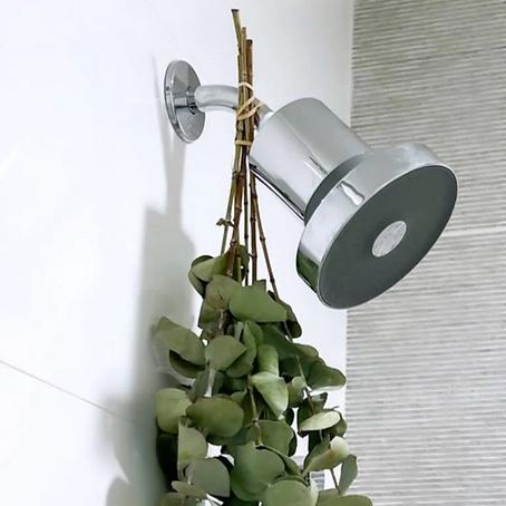 The Jolie Filtered Showerhead