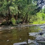 Hunters Creek County Park