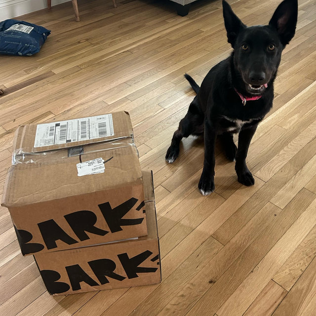 BarkBox Subscription