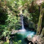 Big Basin Redwoods State Park