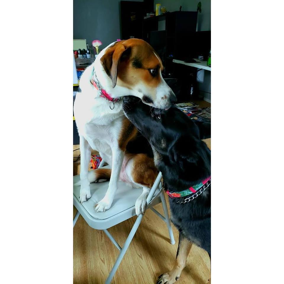 Hayley and Ruby 10.14.18