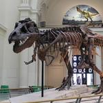 Field Museum of Natural History