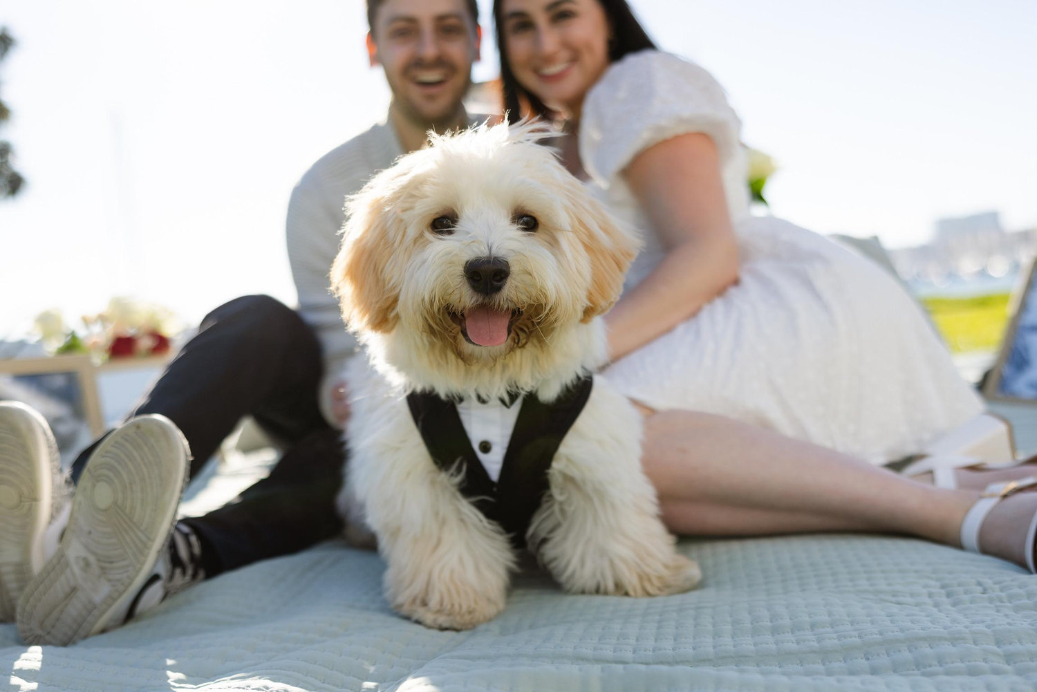 The Wedding Website of Jordan Peterkofsky and Eli Greenberg