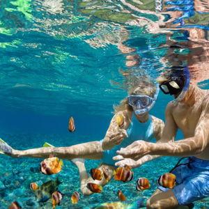 Honeymoon excursions