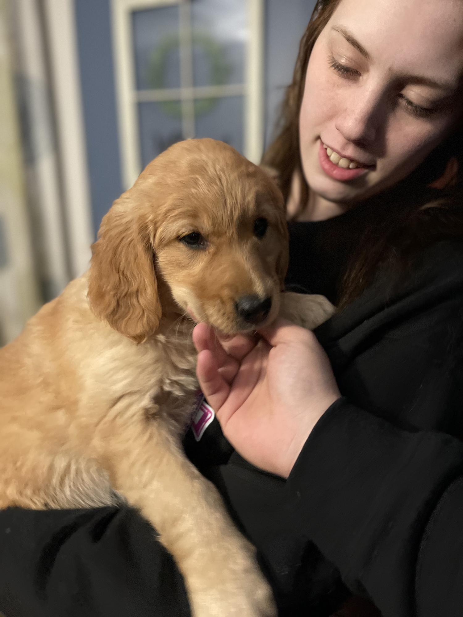 We got another baby! Meet Maggie.