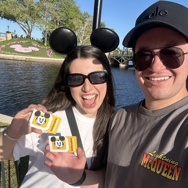 Disney annual passes