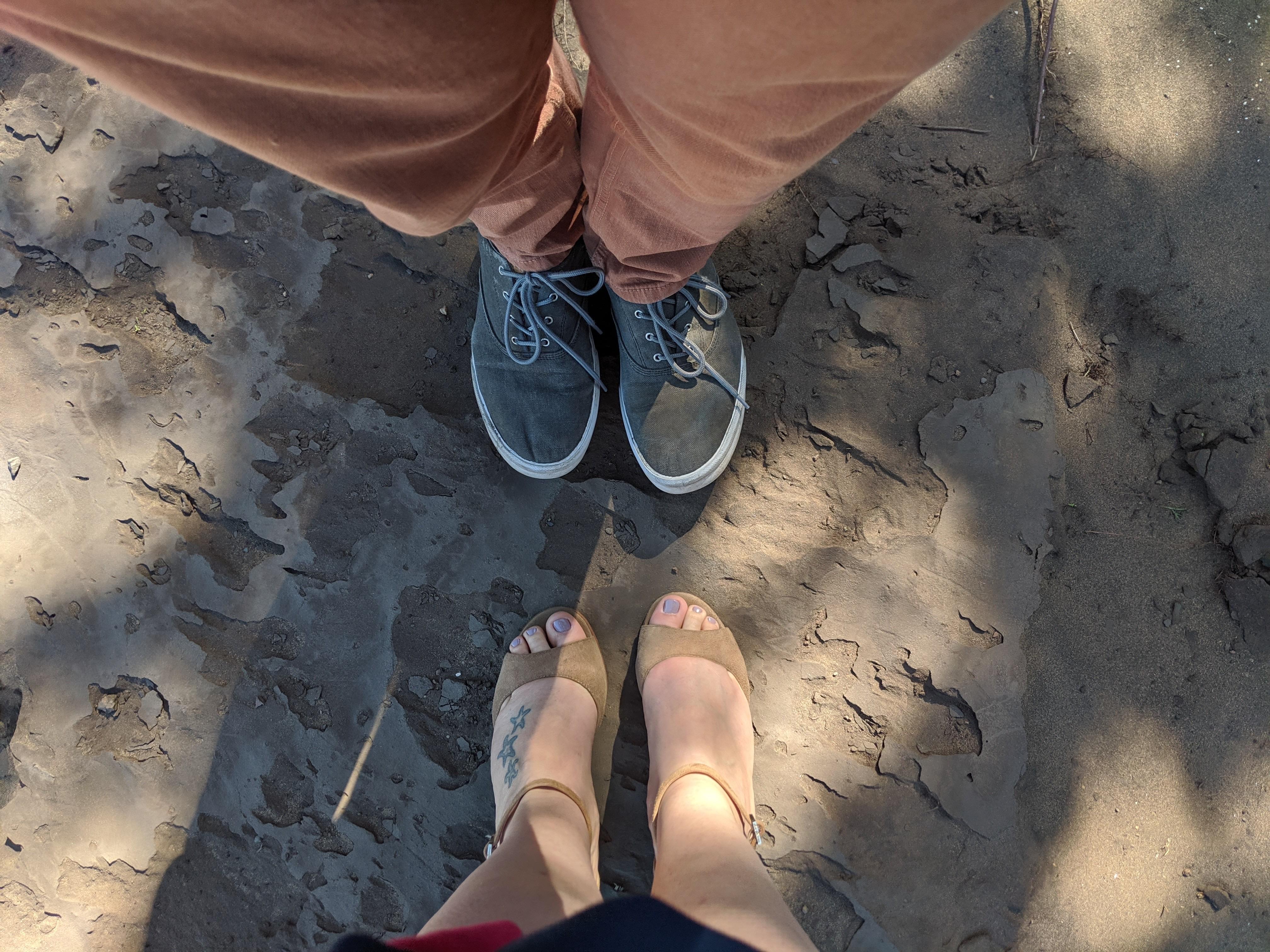 Footer image