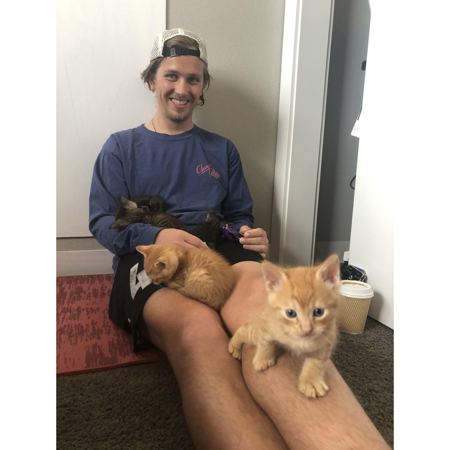 Cat chaos- in 2021 when we impulsively fostered 5 kittens- one of them being Doug