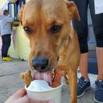 Bmore Licks