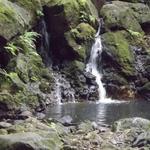 Judd Trail