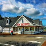 Ted Drewes Frozen Custard
