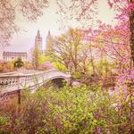 Central Park