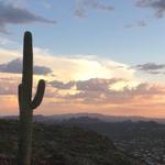 Tumamoc Hill Hiking Trail