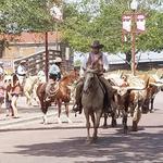 Fort Worth Stockyards