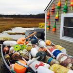 Petey's Summertime Seafood