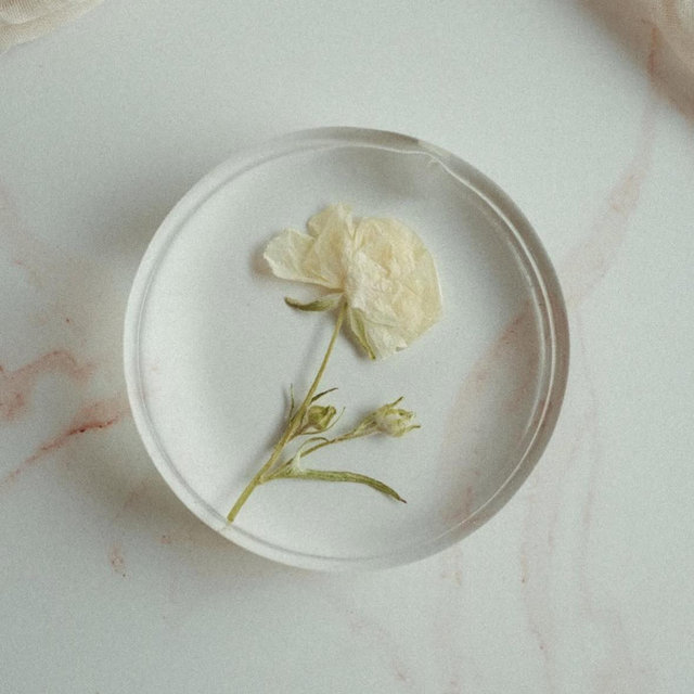 Floral Preservation Fund