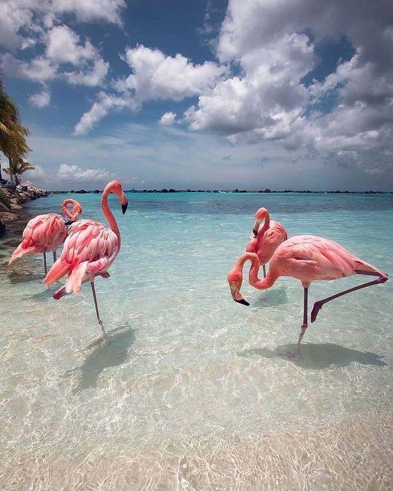 The Wedding Website of Taylor Reh and Billy Coggins