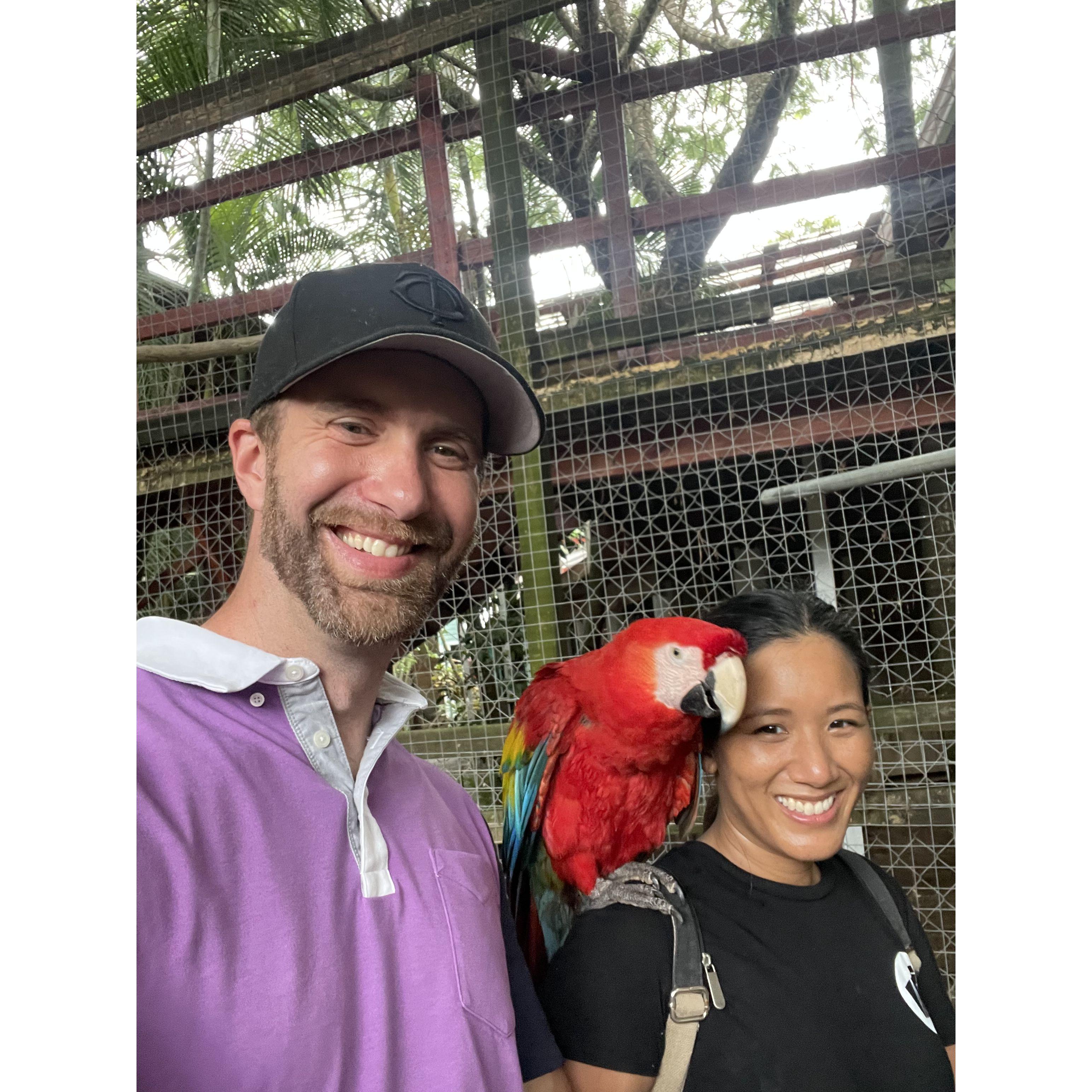 Hanging out with sloths, lemurs, and toucans in Honduras