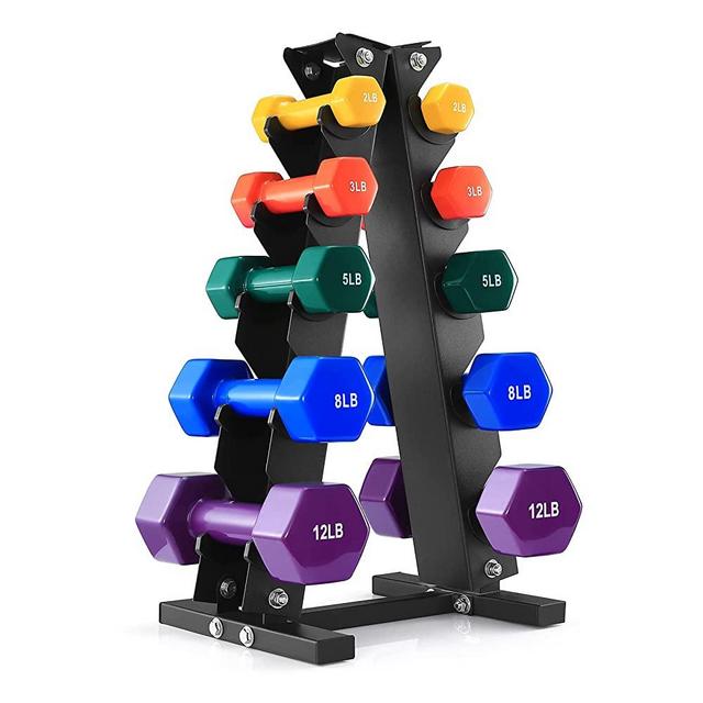 BRAVE HEART 2Lb 3Lb 5Lb 8Lb 12Lb Pair Neoprene/Vinyl Coated Hand Weights Dumbbells Set with Rack Stand, Dumbellsweights Set for Women and Men, Neoprene Dumbbells Weight Sets for Home Gym