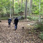 Leon Levy Preserve Cottage Trail