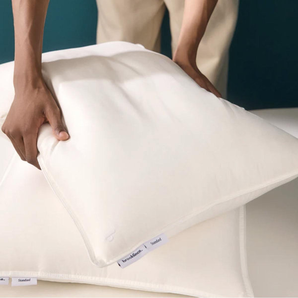 Down Pillow, Standard, medium support