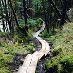 Hiking and Park Trails