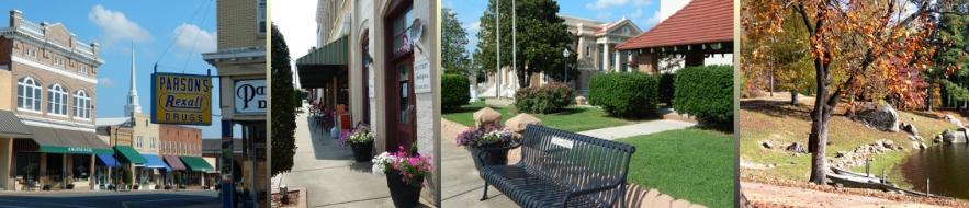 The Wedding Website of Sarah Freeman and Andrew Morgan