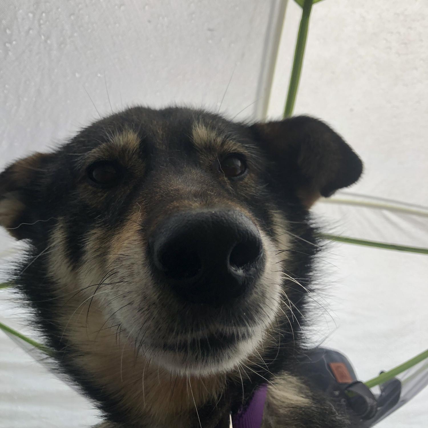 Cy’s favorite activity, camping. 2023