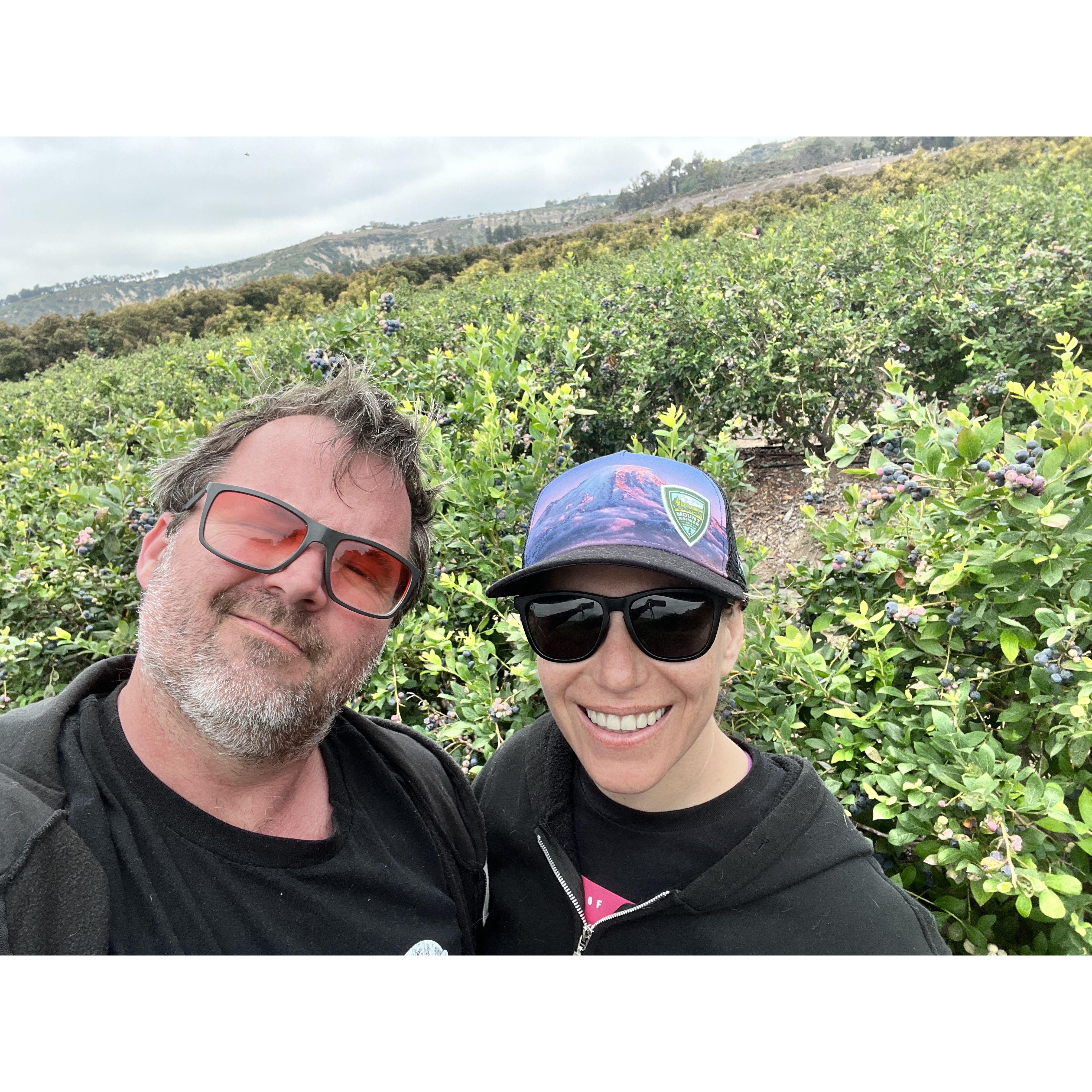 If you're in town blueberry season runs from mid March to the end of May 2025! Let's take a group!